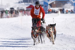 Lenk 2013